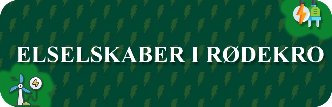 Elselskaber i Rødekro