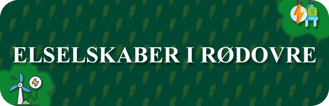 Elselskaber i Rødovre