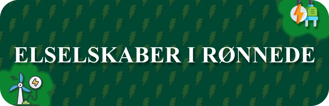 Elselskaber i Rønnede