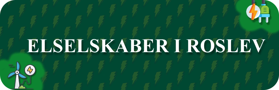 Elselskaber i Roslev