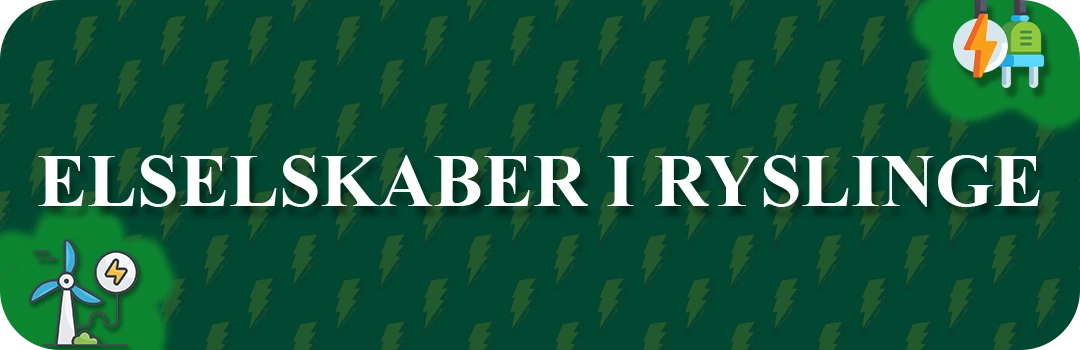 Elselskaber i Ryslinge