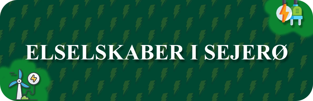 Elselskaber i Sejerø