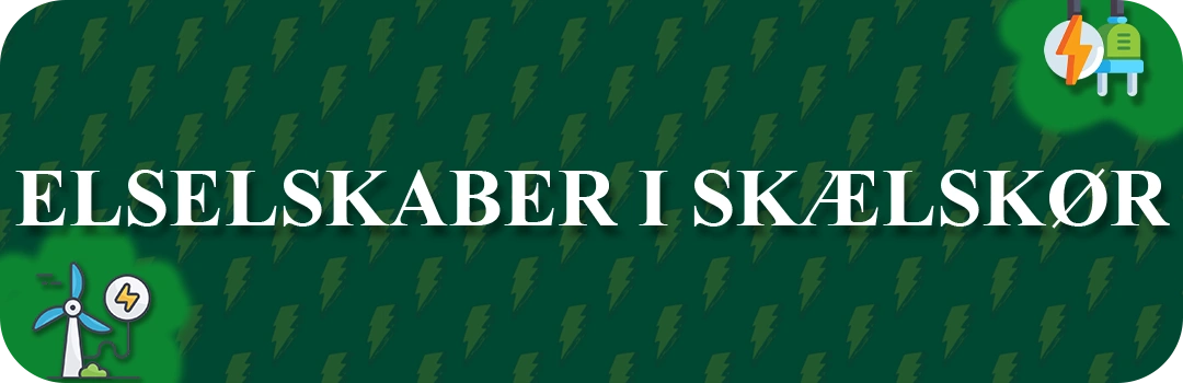 Elselskaber i Skælskør