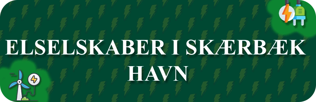 Elselskaber i Skærbæk Havn
