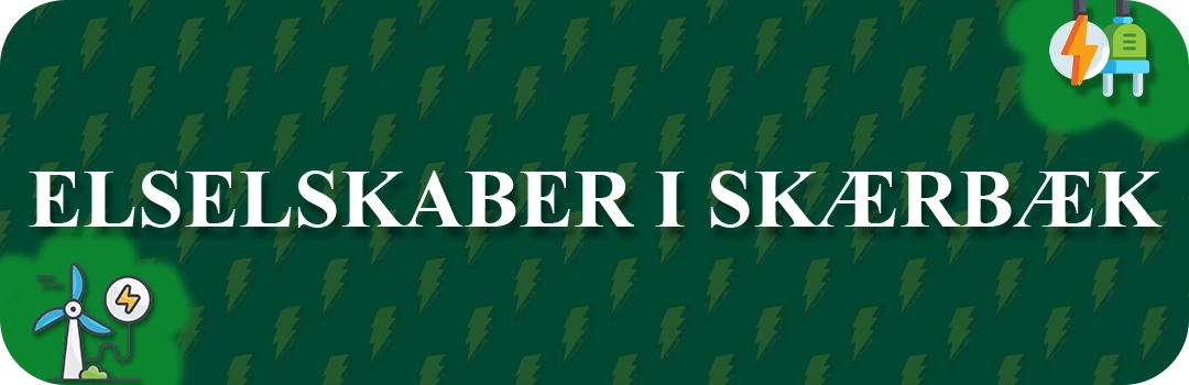 Elselskaber i Skærbæk