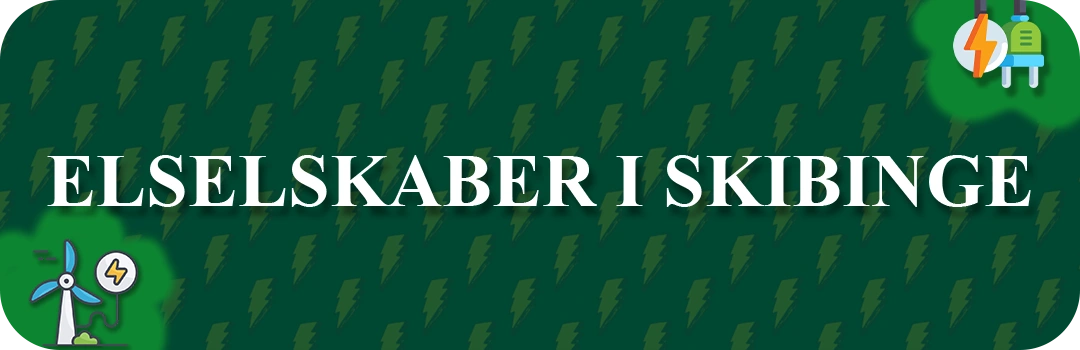 Elselskaber i Skibinge