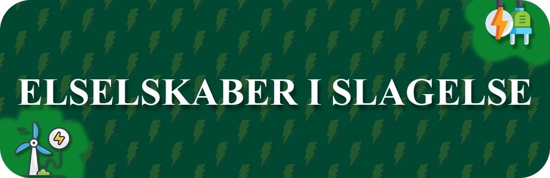 Elselskaber i Slagelse