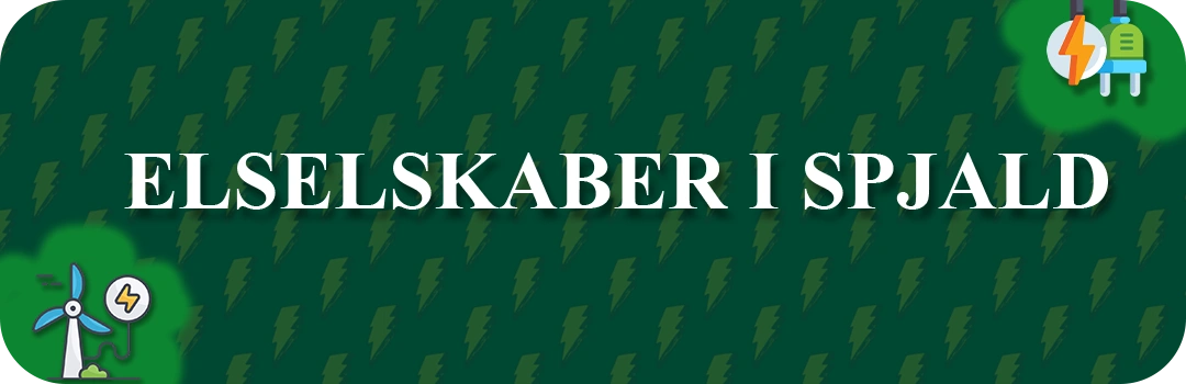 Elselskaber i Spjald