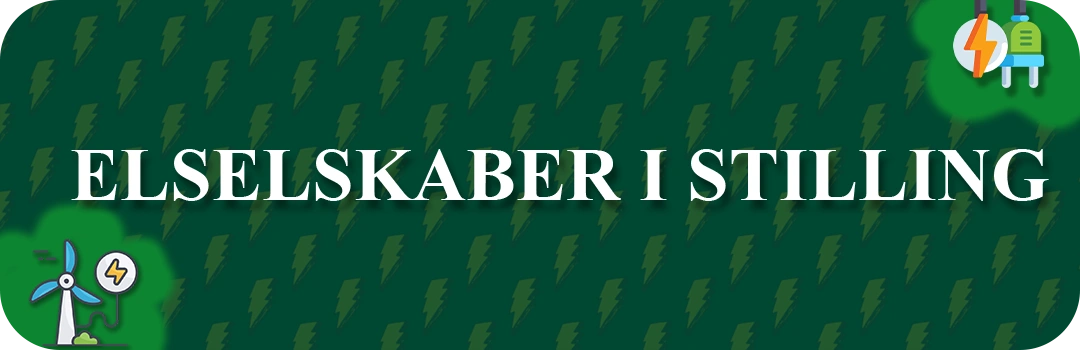 Elselskaber i Stilling