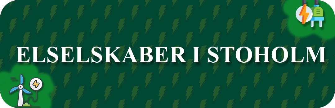 Elselskaber i Stoholm