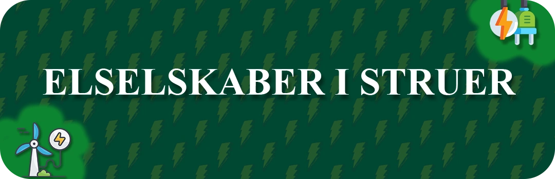 Elselskaber i Struer