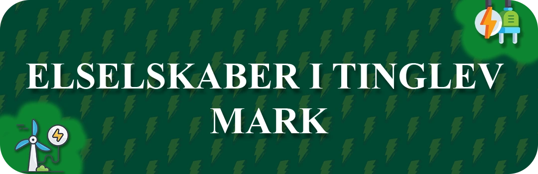 Elselskaber i Tinglev Mark