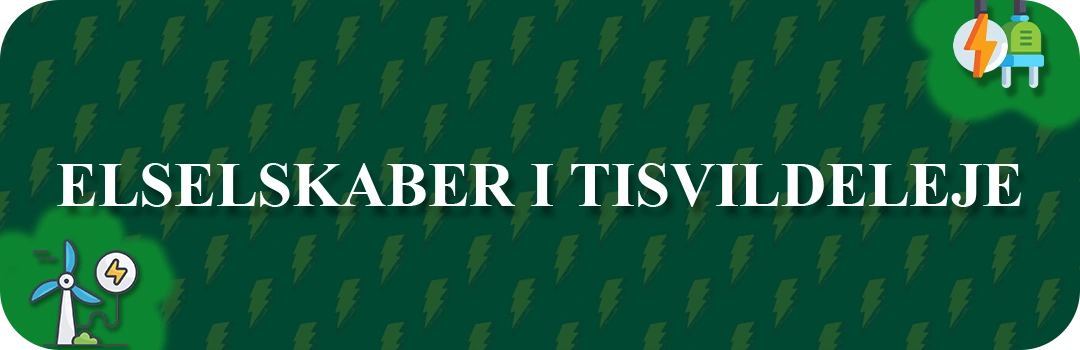 Elselskaber i Tisvildeleje