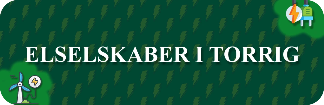 Elselskaber i Torrig