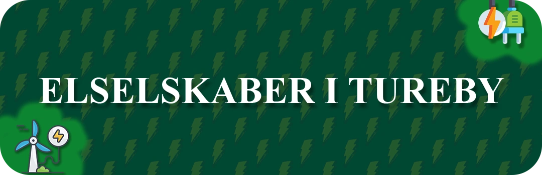 Elselskaber i Tureby