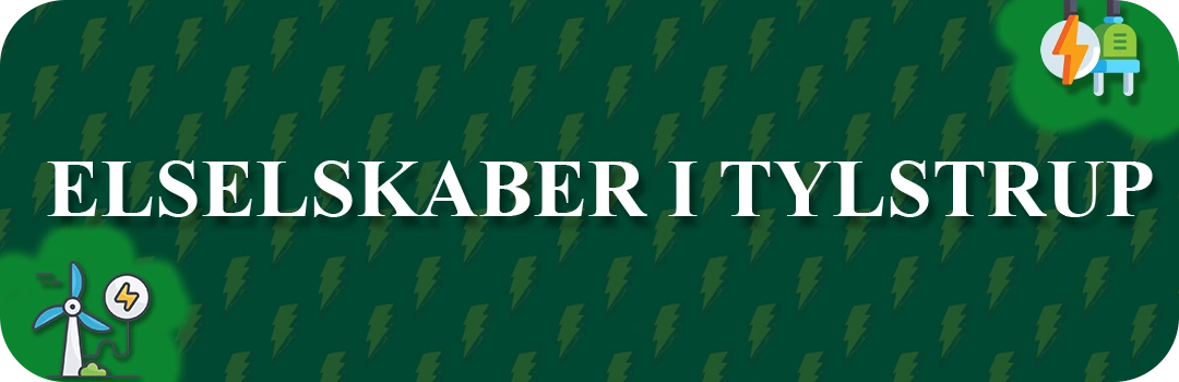 Elselskaber i Tylstrup
