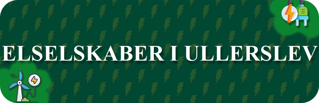 Elselskaber i Ullerslev