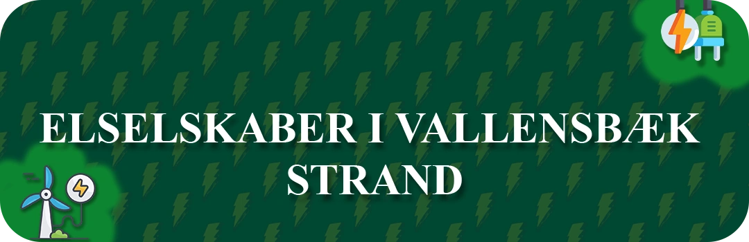 Elselskaber i Vallensbæk Strand