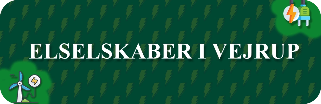 Elselskaber i Vejrup