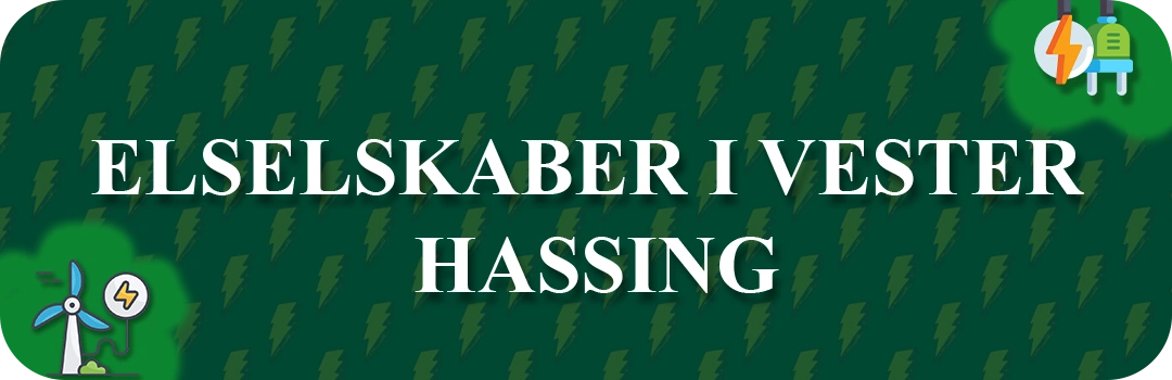 Elselskaber i Vester Hassing