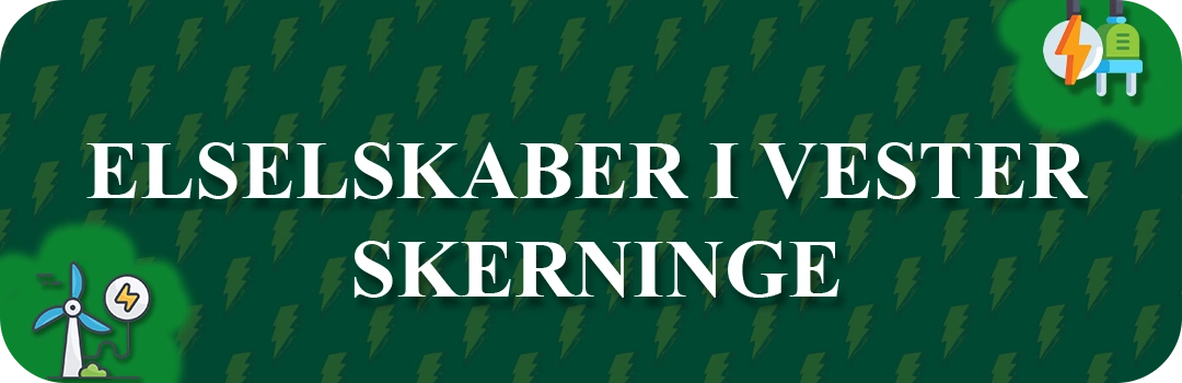 Elselskaber i Vester Skerninge