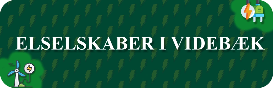 Elselskaber i Videbæk