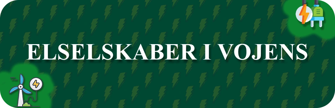 Elselskaber i Vojens