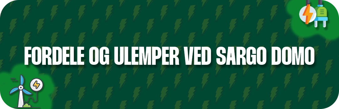 Fordele og ulemper ved Sargo Domo