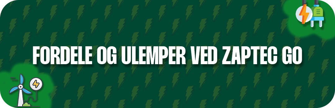 Fordele og ulemper ved Zaptec Go