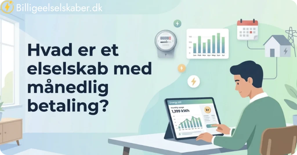 Hvad er et elselskab med månedlig betaling