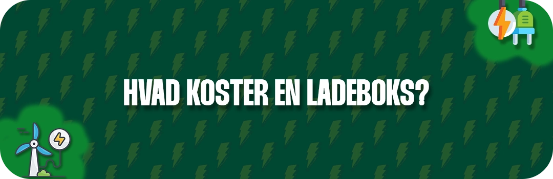 Hvad koster en ladeboks og ladestander