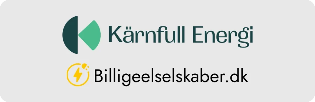 Vores anmeldelse af Kärnfull Energi