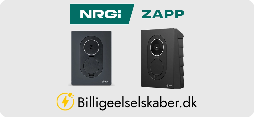 NRGI Zapp Ladeboks