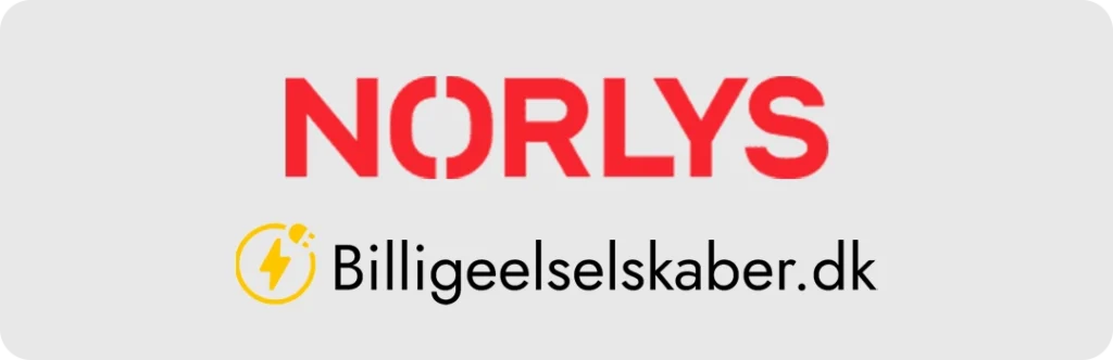 Anmeldelse Norlys elselskab