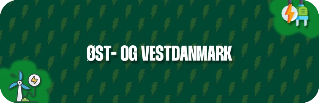 Øst- og Vestdanmark: Hvorfor er elprisen forskellig?