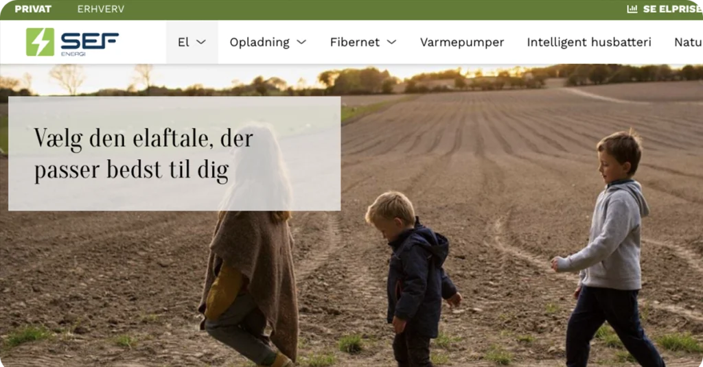 SEf energi billigt elselskab