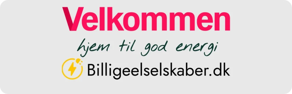 Læs hele vores anmeldelse omkring Velkommen som elselskab