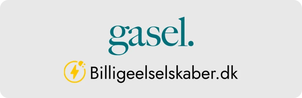 Vores anmeldelse af Gasel elselskab