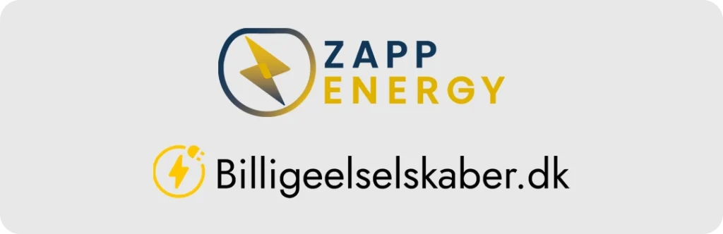 Vores anmeldelse af Zapp Energy