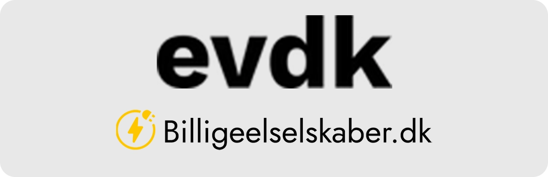 Vores anmeldelse af evdk som elselskab