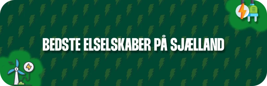 Her ser du de 5 bedste elselskaber på Sjælland