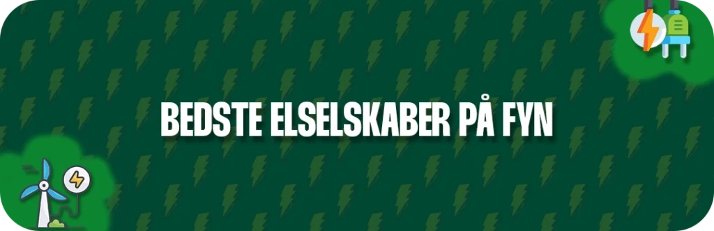 Se Fyns 5 bedste elselskaber