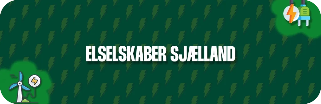 Læs om elselskaber på Sjælland